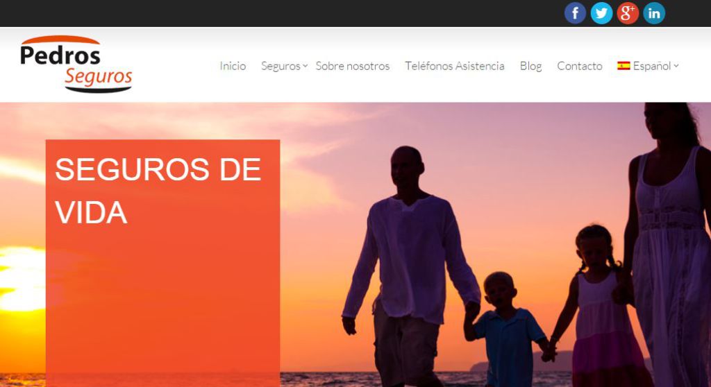 Pedros Seguros