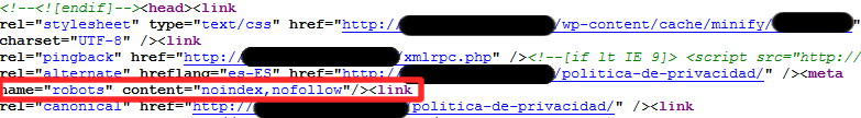Captura de pantalla etiqueta noindex