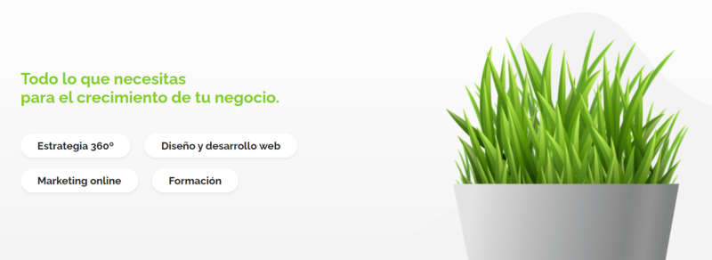 acceseo-agencia-marketing