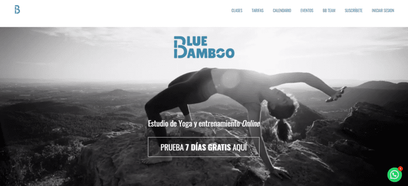 accepreneur-paula-gonzalez-blue-bamboo-studio