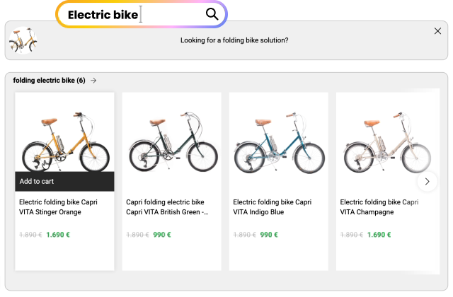 buscador interno ecommerce